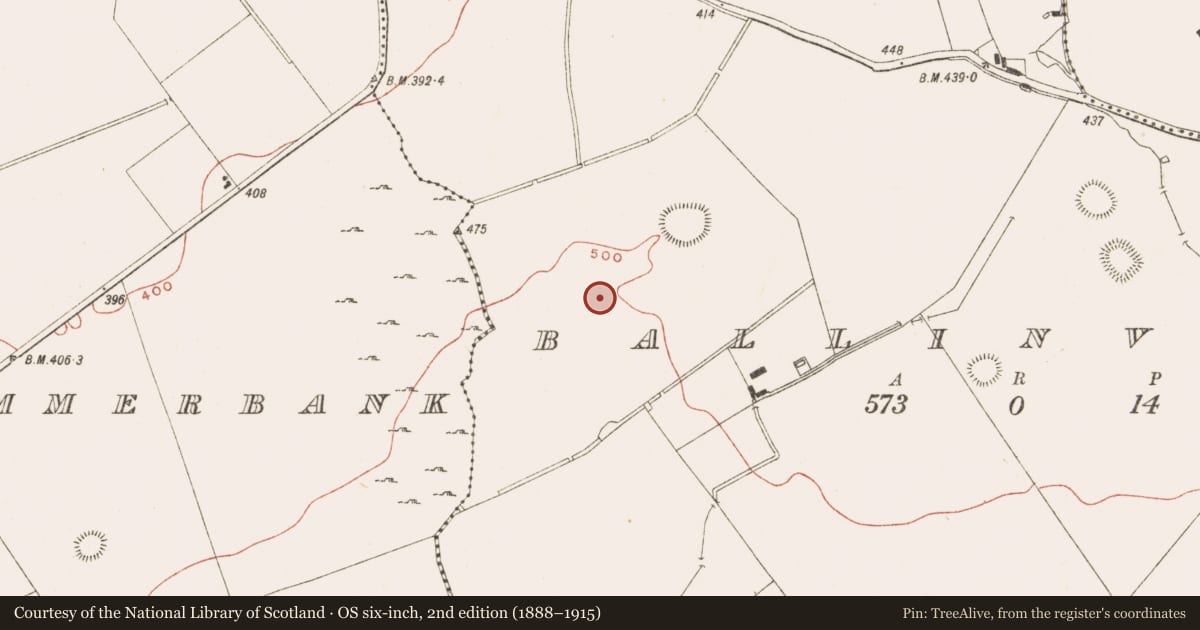 Ordnance Survey six-inch map, 2nd edition (1888–1915) covering the location of Road - road/trackway, Ballinvally, County Meath, with a pin at the register's coordinates