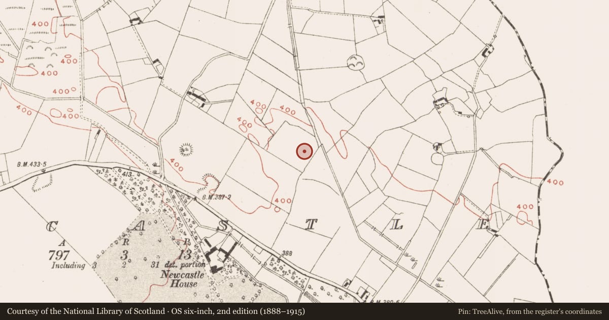 Ordnance Survey six-inch map, 2nd edition (1888–1915) covering the location of Enclosure, Newcastle, County Meath, with a pin at the register's coordinates