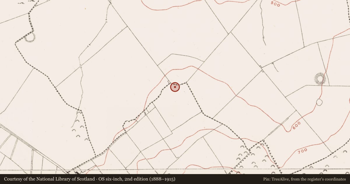 Ordnance Survey six-inch map, 2nd edition (1888–1915) covering the location of Ringfort - rath, Ballinvally, Corstown, County Meath, with a pin at the register's coordinates