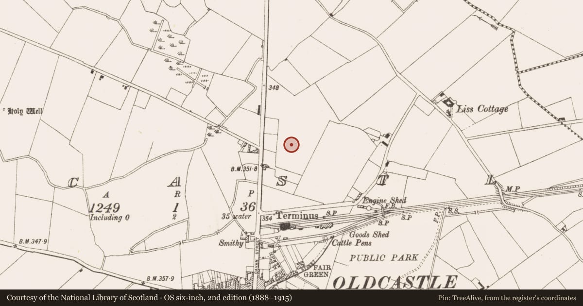Ordnance Survey six-inch map, 2nd edition (1888–1915) covering the location of Enclosure, Oldcastle, County Meath, with a pin at the register's coordinates