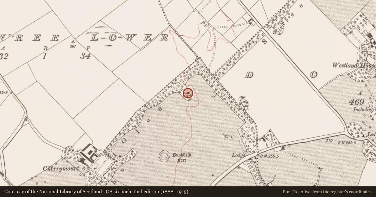 Ordnance Survey six-inch map, 2nd edition (1888–1915) covering the location of Enclosure, Rathinree Upper, County Meath, with a pin at the register's coordinates