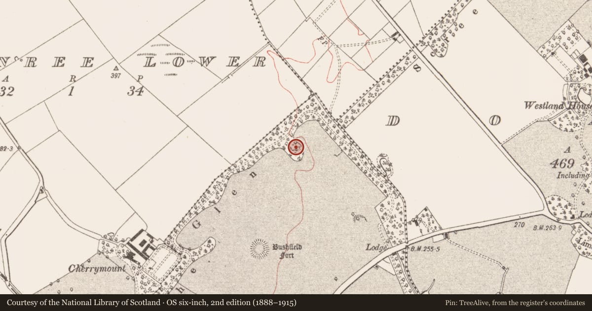Ordnance Survey six-inch map, 2nd edition (1888–1915) covering the location of House - indeterminate date, Rathinree Upper, County Meath, with a pin at the register's coordinates