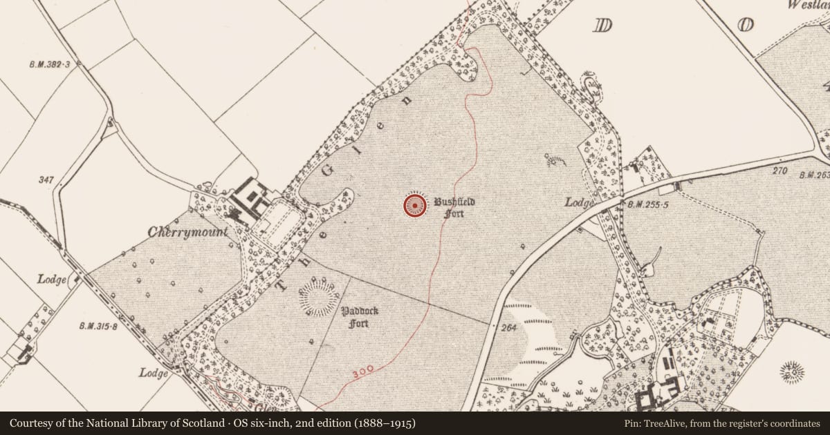 Ordnance Survey six-inch map, 2nd edition (1888–1915) covering the location of Ringfort - rath, Rathinree Upper, County Meath, with a pin at the register's coordinates