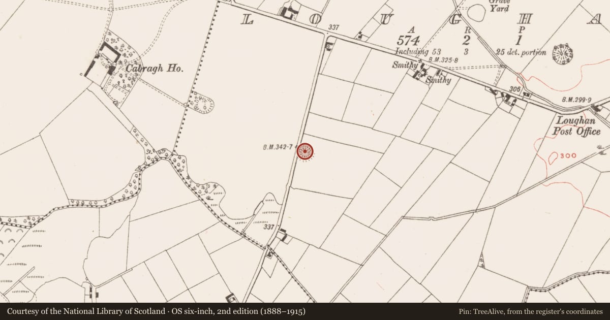 Ordnance Survey six-inch map, 2nd edition (1888–1915) covering the location of Ringfort - rath, Loughan, County Meath, with a pin at the register's coordinates