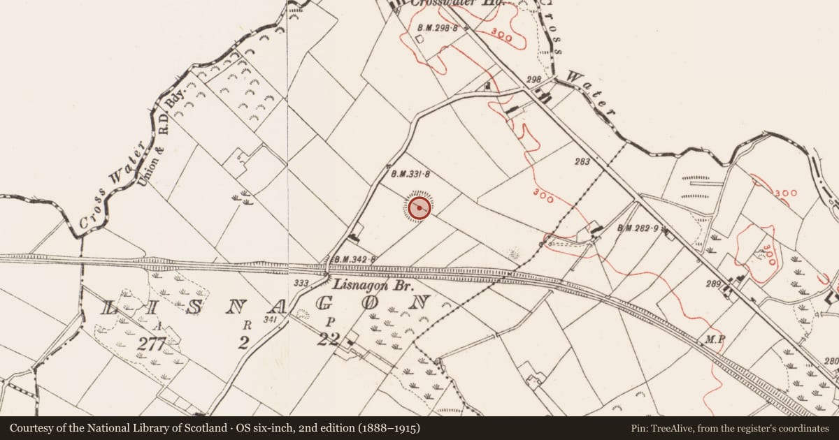 Ordnance Survey six-inch map, 2nd edition (1888–1915) covering the location of Ringfort - rath, Lisnagon, County Meath, with a pin at the register's coordinates