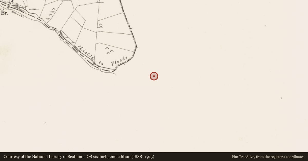 Ordnance Survey six-inch map, 2nd edition (1888–1915) covering the location of Castle - motte and bailey, Derver, County Meath, with a pin at the register's coordinates