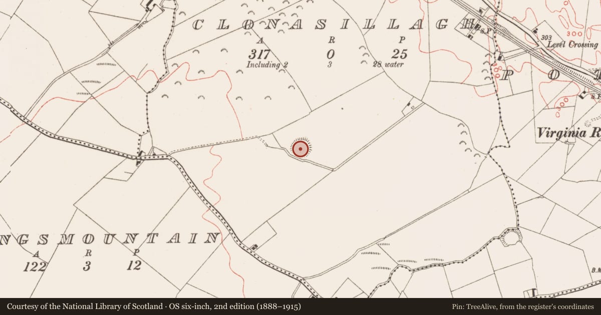 Ordnance Survey six-inch map, 2nd edition (1888–1915) covering the location of Ringfort - rath, Clonasillagh, County Meath, with a pin at the register's coordinates