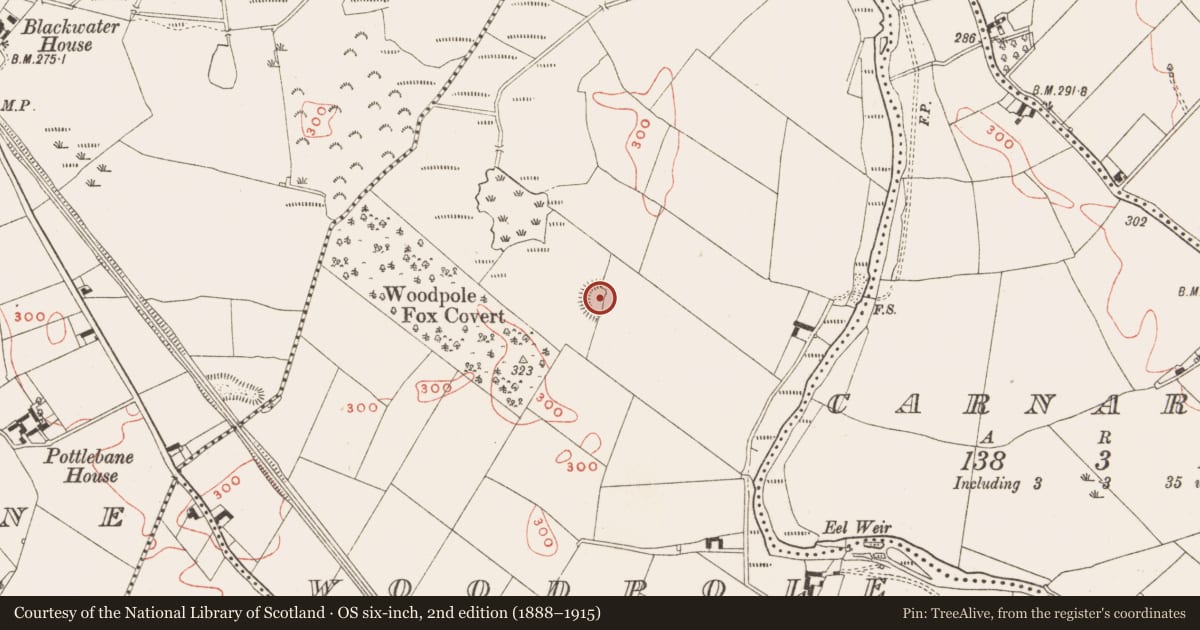 Ordnance Survey six-inch map, 2nd edition (1888–1915) covering the location of Ringfort - rath, Woodpole, County Meath, with a pin at the register's coordinates