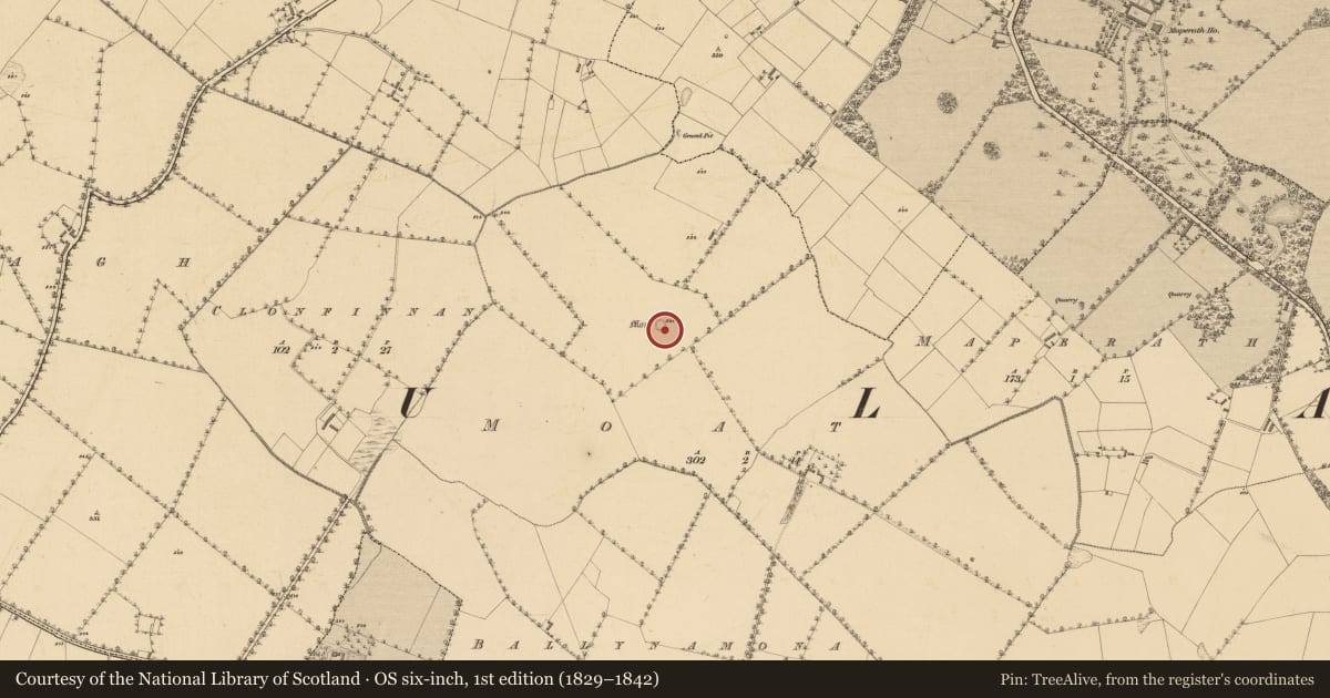 Ordnance Survey six-inch map, 1st edition (1829–1842) covering the location of Castle - motte and bailey, Moat, County Meath, with a pin at the register's coordinates