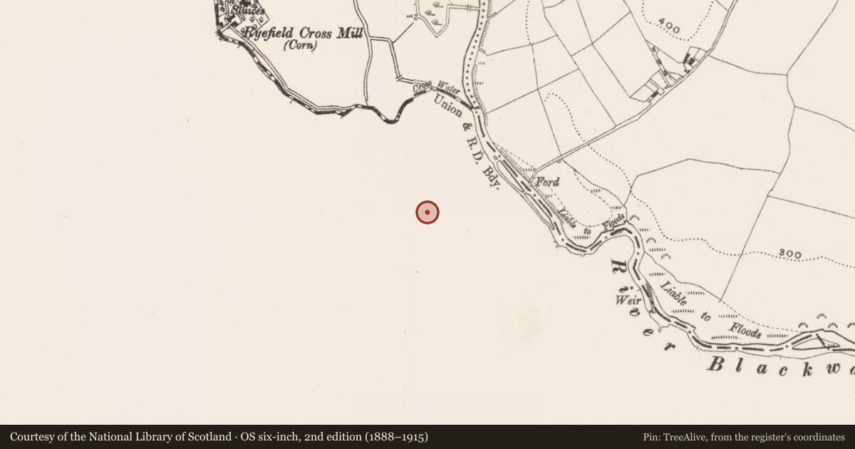Ordnance Survey six-inch map, 2nd edition (1888–1915) covering the location of Megalithic tomb - passage tomb, Clonasillagh, County Meath, with a pin at the register's coordinates