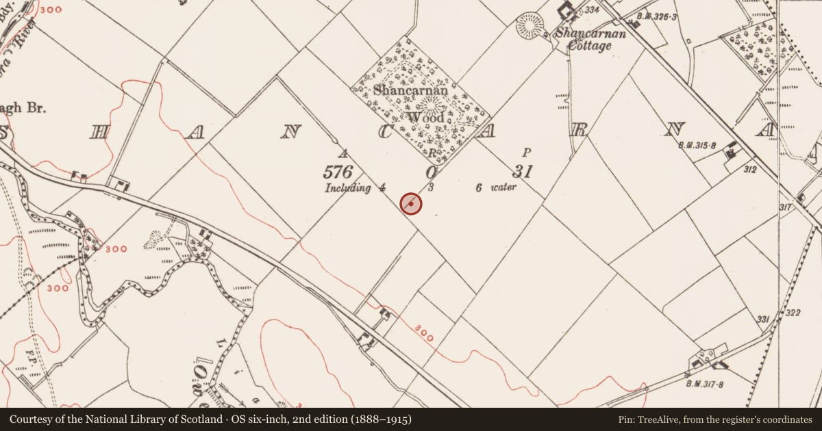 Ordnance Survey six-inch map, 2nd edition (1888–1915) covering the location of Enclosure, Shancarnan, County Meath, with a pin at the register's coordinates