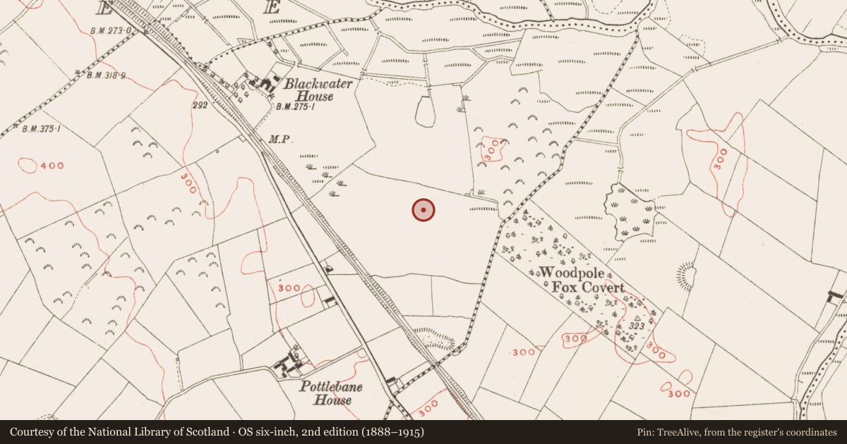 Ordnance Survey six-inch map, 2nd edition (1888–1915) covering the location of Pit, Pottlebane, County Meath, with a pin at the register's coordinates
