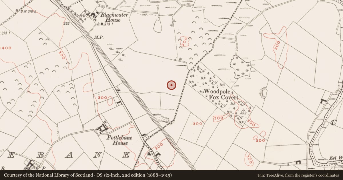 Ordnance Survey six-inch map, 2nd edition (1888–1915) covering the location of Fulacht fia, Pottlebane, County Meath, with a pin at the register's coordinates