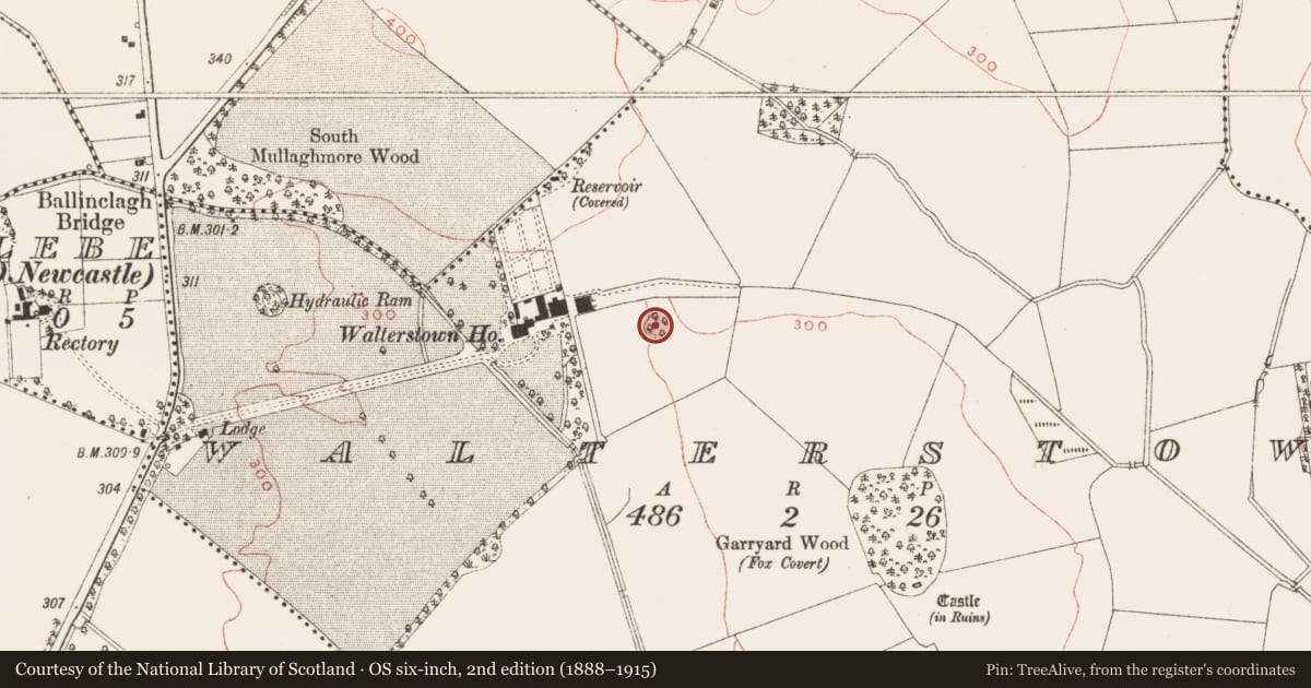 Ordnance Survey six-inch map, 2nd edition (1888–1915) covering the location of Ringfort - rath, Walterstown, County Meath, with a pin at the register's coordinates