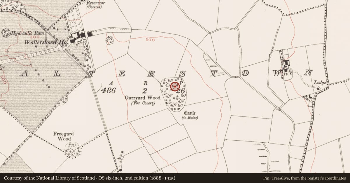 Ordnance Survey six-inch map, 2nd edition (1888–1915) covering the location of Enclosure - large enclosure, Walterstown, County Meath, with a pin at the register's coordinates