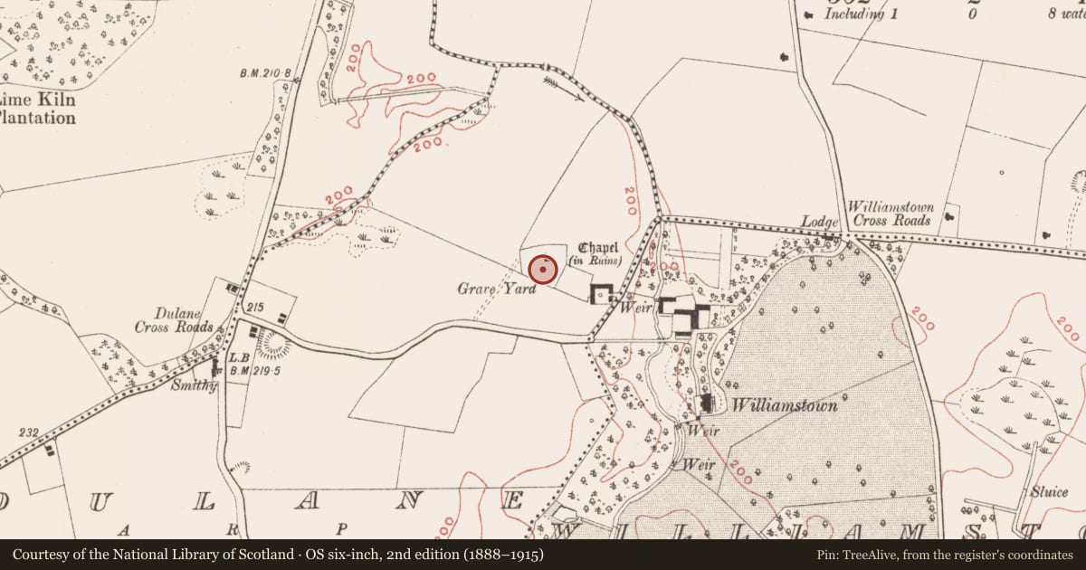 Ordnance Survey six-inch map, 2nd edition (1888–1915) covering the location of Cross-slab, Dulane, County Meath, with a pin at the register's coordinates