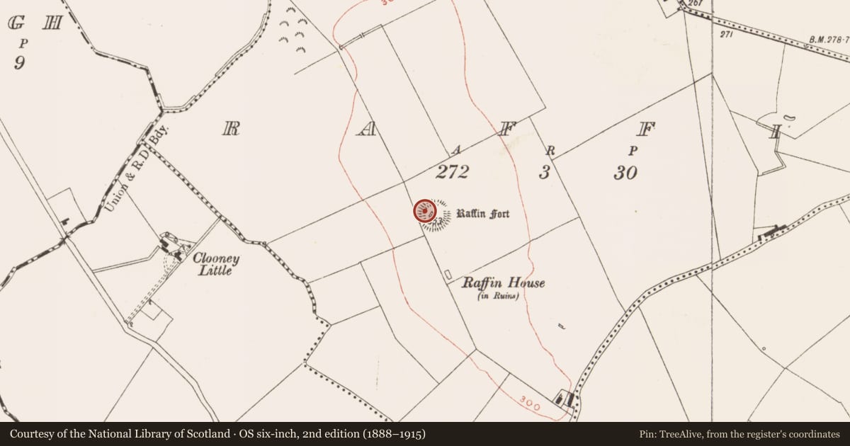 Ordnance Survey six-inch map, 2nd edition (1888–1915) covering the location of Timber circle, Raffin, County Meath, with a pin at the register's coordinates