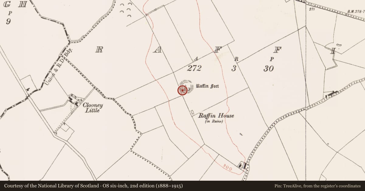 Ordnance Survey six-inch map, 2nd edition (1888–1915) covering the location of Enclosure, Raffin, County Meath, with a pin at the register's coordinates