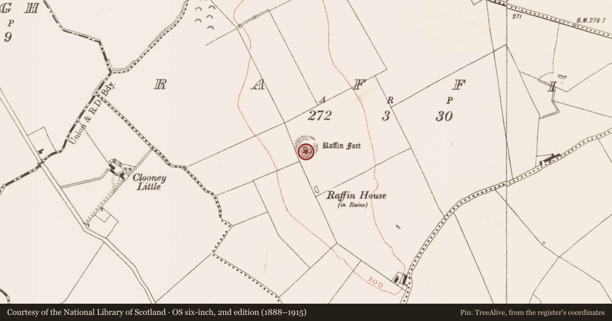 Ordnance Survey six-inch map, 2nd edition (1888–1915) covering the location of Timber circle, Raffin, County Meath, with a pin at the register's coordinates