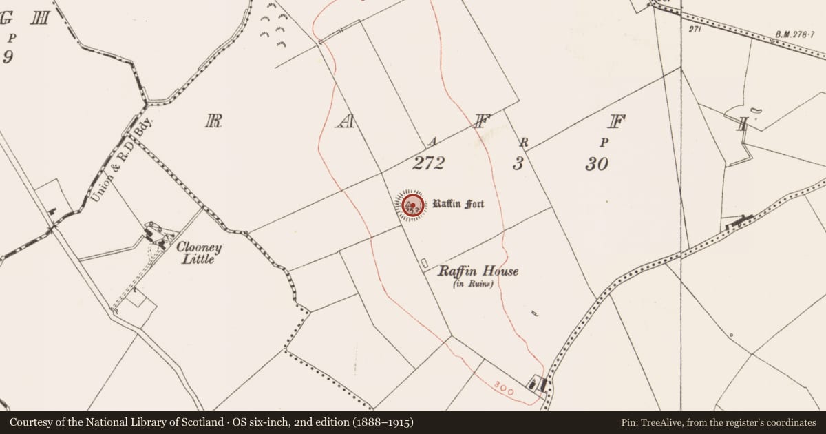 Ordnance Survey six-inch map, 2nd edition (1888–1915) covering the location of Hut site, Raffin, County Meath, with a pin at the register's coordinates