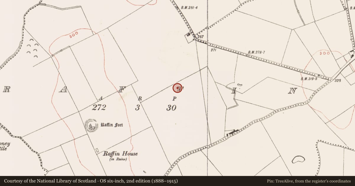 Ordnance Survey six-inch map, 2nd edition (1888–1915) covering the location of Ringfort - rath, Raffin, County Meath, with a pin at the register's coordinates