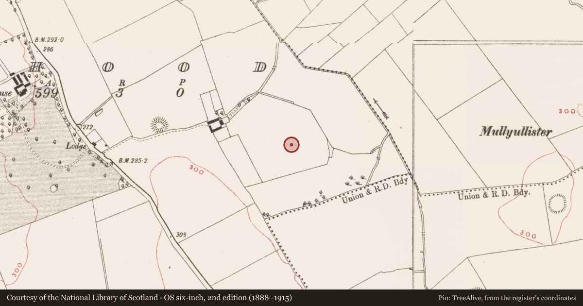 Ordnance Survey six-inch map, 2nd edition (1888–1915) covering the location of Souterrain, Rahood, County Meath, with a pin at the register's coordinates