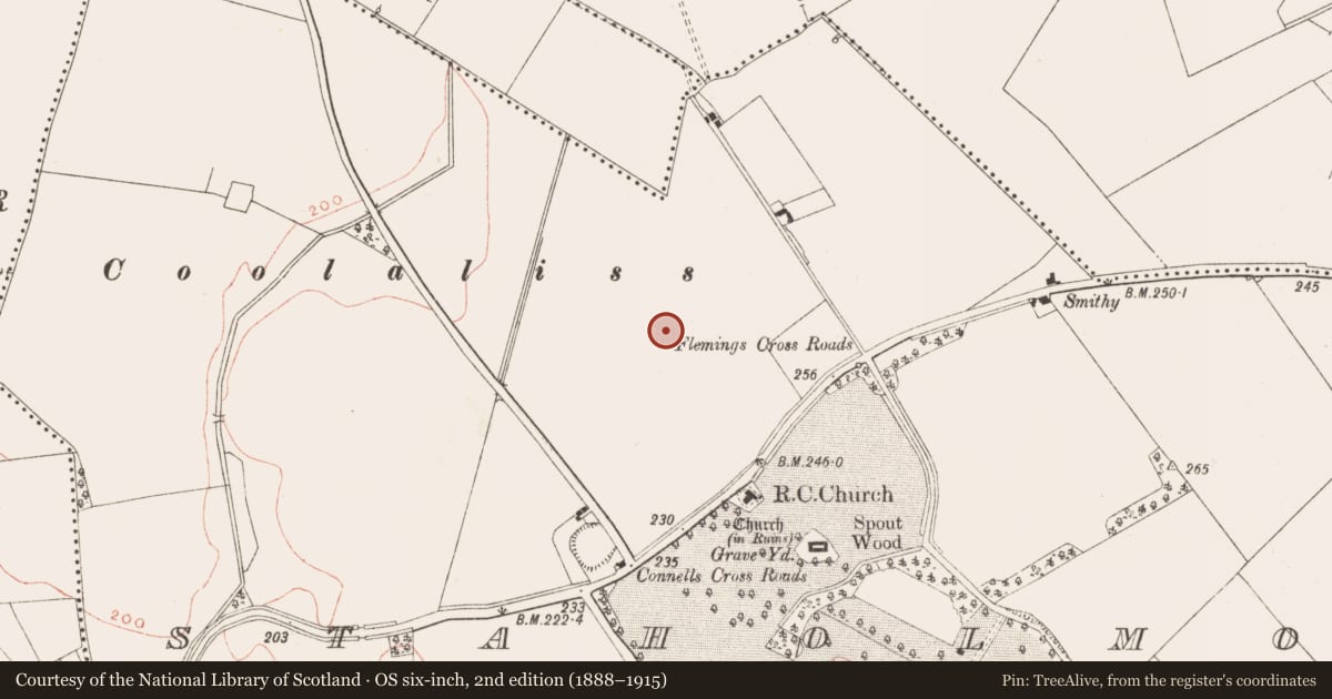Ordnance Survey six-inch map, 2nd edition (1888–1915) covering the location of Standing stone, Staholmog, County Meath, with a pin at the register's coordinates