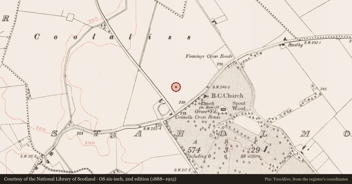 Ordnance Survey six-inch map, 2nd edition (1888–1915) covering the location of Standing stone, Staholmog, County Meath, with a pin at the register's coordinates