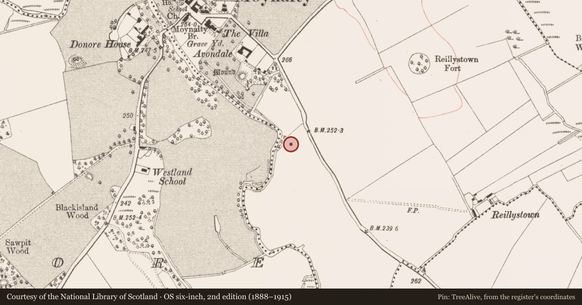 Ordnance Survey six-inch map, 2nd edition (1888–1915) covering the location of Excavation - miscellaneous, Moynalty, County Meath, with a pin at the register's coordinates