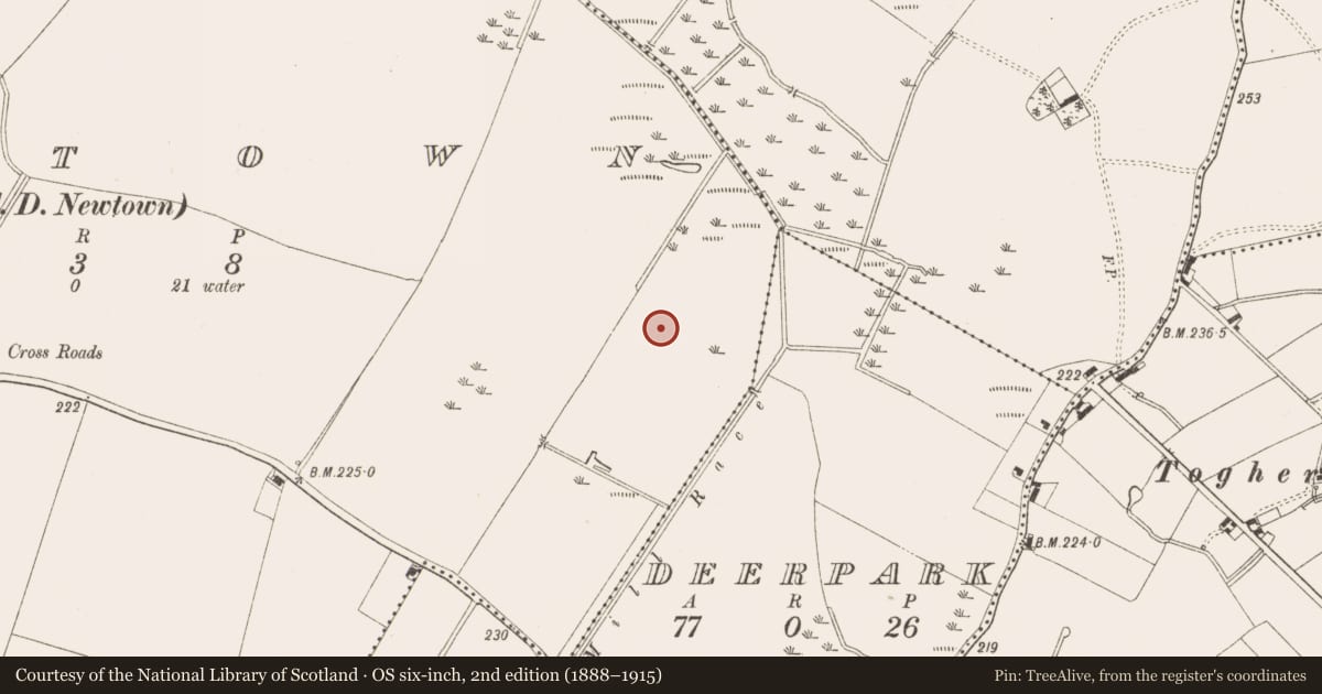 Ordnance Survey six-inch map, 2nd edition (1888–1915) covering the location of Enclosure, Newtown, County Meath, with a pin at the register's coordinates