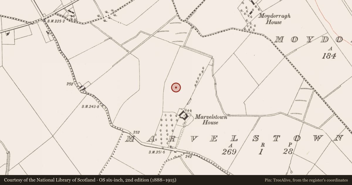 Ordnance Survey six-inch map, 2nd edition (1888–1915) covering the location of Enclosure, Marvelstown, County Meath, with a pin at the register's coordinates