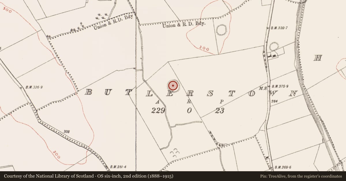 Ordnance Survey six-inch map, 2nd edition (1888–1915) covering the location of Ringfort - rath, Butlerstown, County Meath, with a pin at the register's coordinates