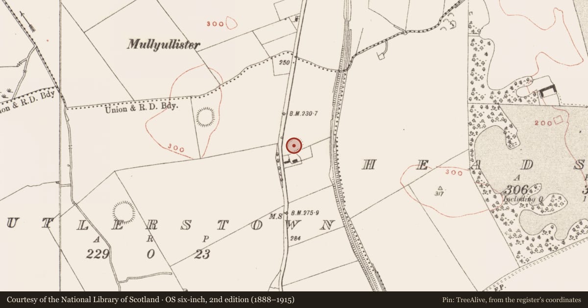Ordnance Survey six-inch map, 2nd edition (1888–1915) covering the location of Ringfort - rath, Butlerstown, County Meath, with a pin at the register's coordinates