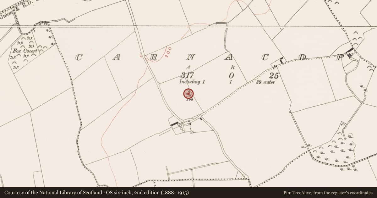 Ordnance Survey six-inch map, 2nd edition (1888–1915) covering the location of Enclosure, Carnacop, County Meath, with a pin at the register's coordinates