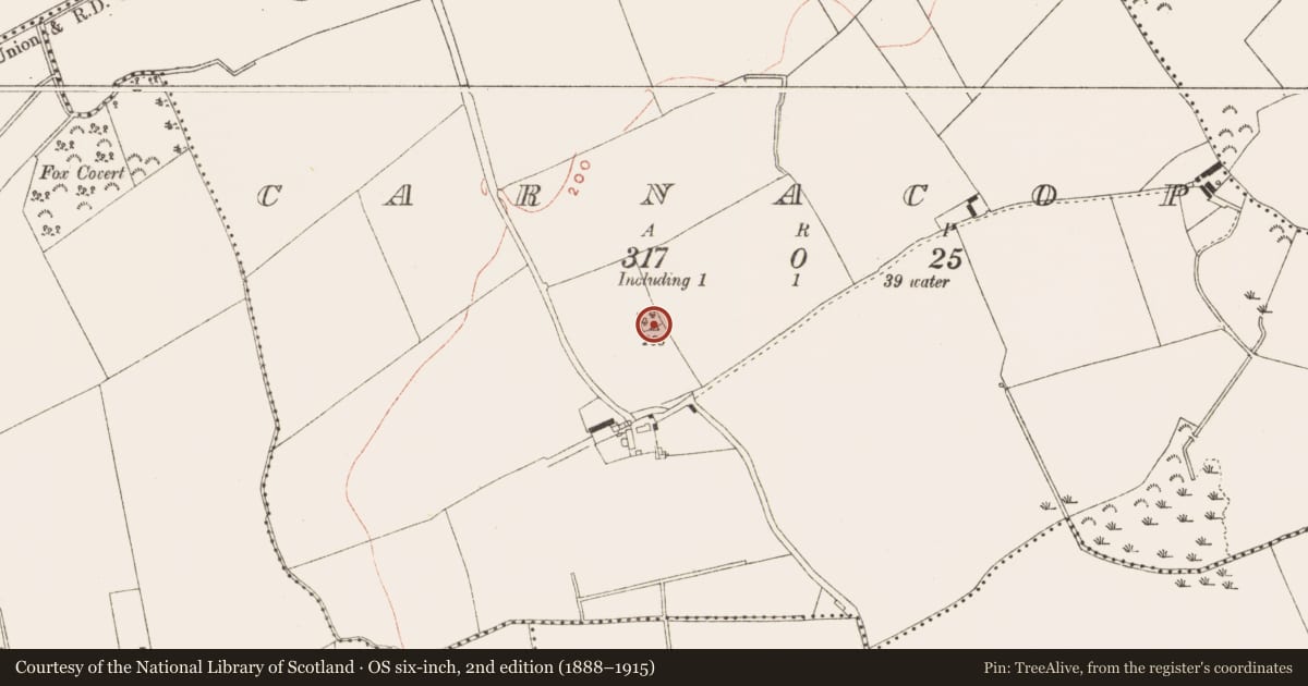 Ordnance Survey six-inch map, 2nd edition (1888–1915) covering the location of Souterrain, Carnacop, County Meath, with a pin at the register's coordinates