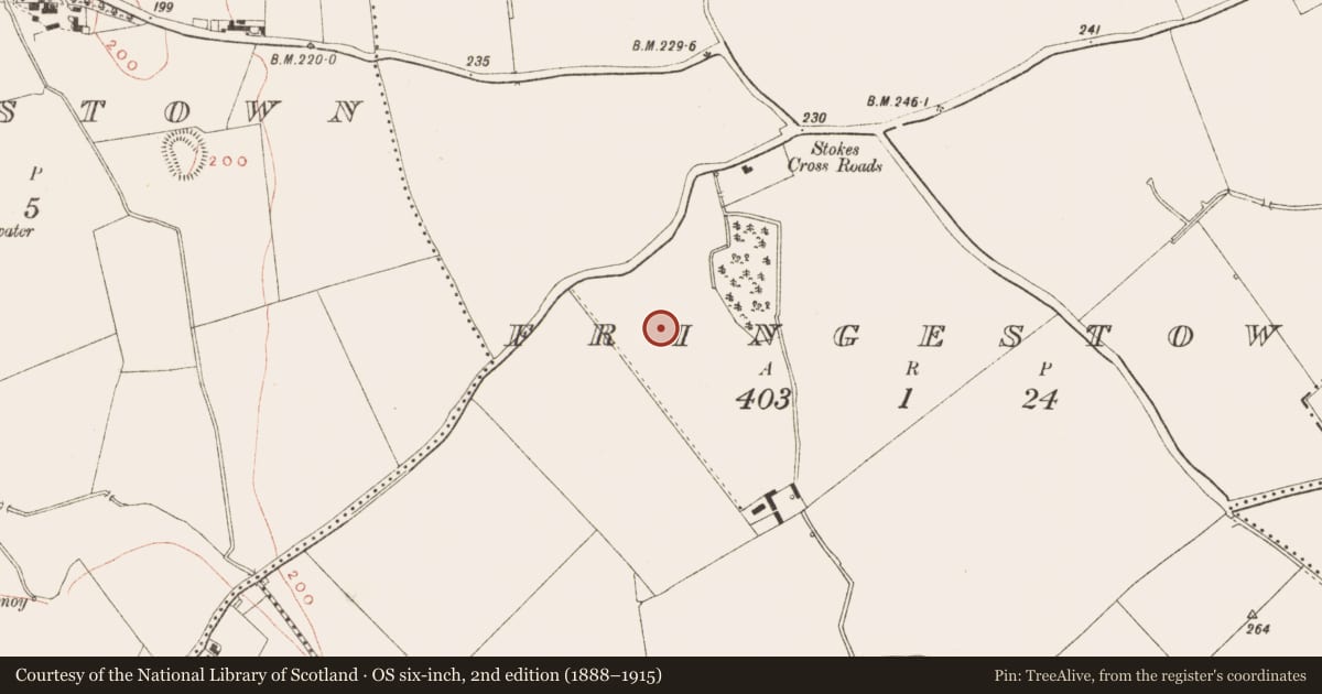 Ordnance Survey six-inch map, 2nd edition (1888–1915) covering the location of Ringfort - rath, Fringestown, County Meath, with a pin at the register's coordinates