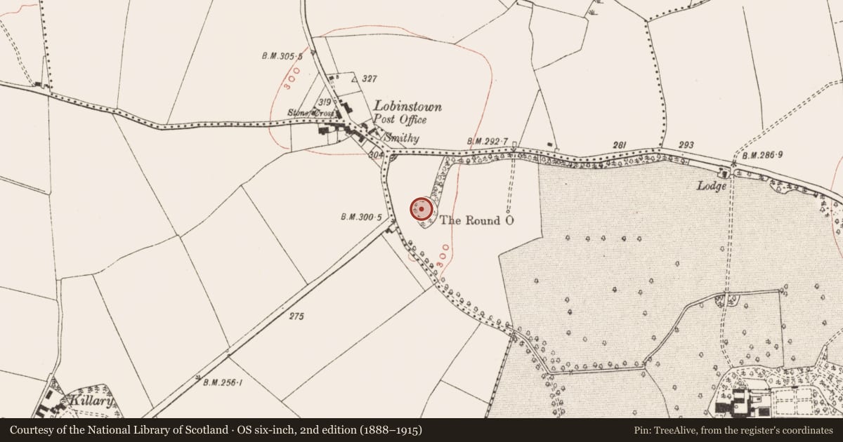 Ordnance Survey six-inch map, 2nd edition (1888–1915) covering the location of Enclosure, Parsonstown Demesne, County Meath, with a pin at the register's coordinates