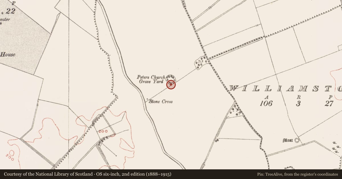 Ordnance Survey six-inch map, 2nd edition (1888–1915) covering the location of Exhibitionist figure, Drakestown, County Meath, with a pin at the register's coordinates