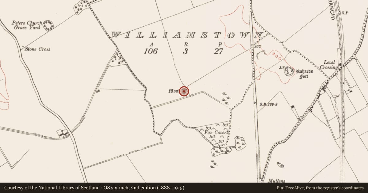Ordnance Survey six-inch map, 2nd edition (1888–1915) covering the location of Castle - motte, Williamstown, County Meath, with a pin at the register's coordinates