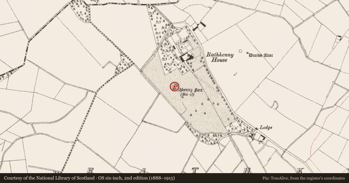 Ordnance Survey six-inch map, 2nd edition (1888–1915) covering the location of Ringfort - rath, Rathkenny, County Meath, with a pin at the register's coordinates