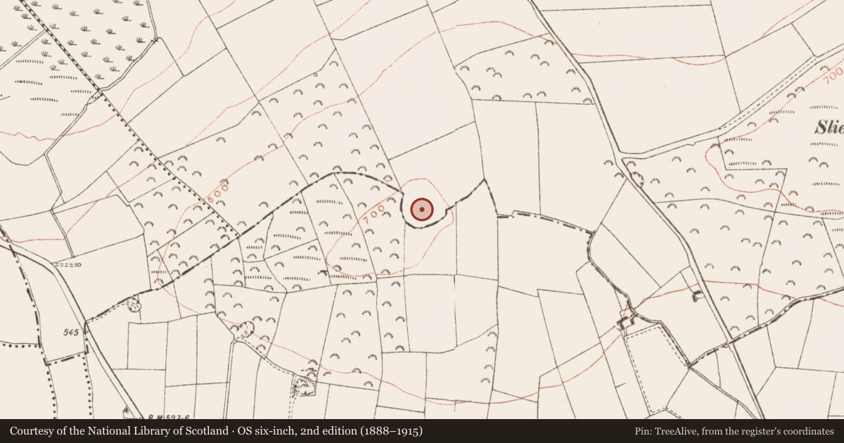 Ordnance Survey six-inch map, 2nd edition (1888–1915) covering the location of Hilltop enclosure, Creewood, Rathbranchurch, County Meath, with a pin at the register's coordinates