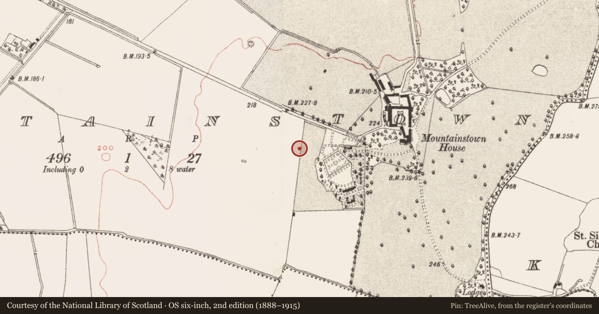 Ordnance Survey six-inch map, 2nd edition (1888–1915) covering the location of Passage tomb art, Mountainstown, County Meath, with a pin at the register's coordinates
