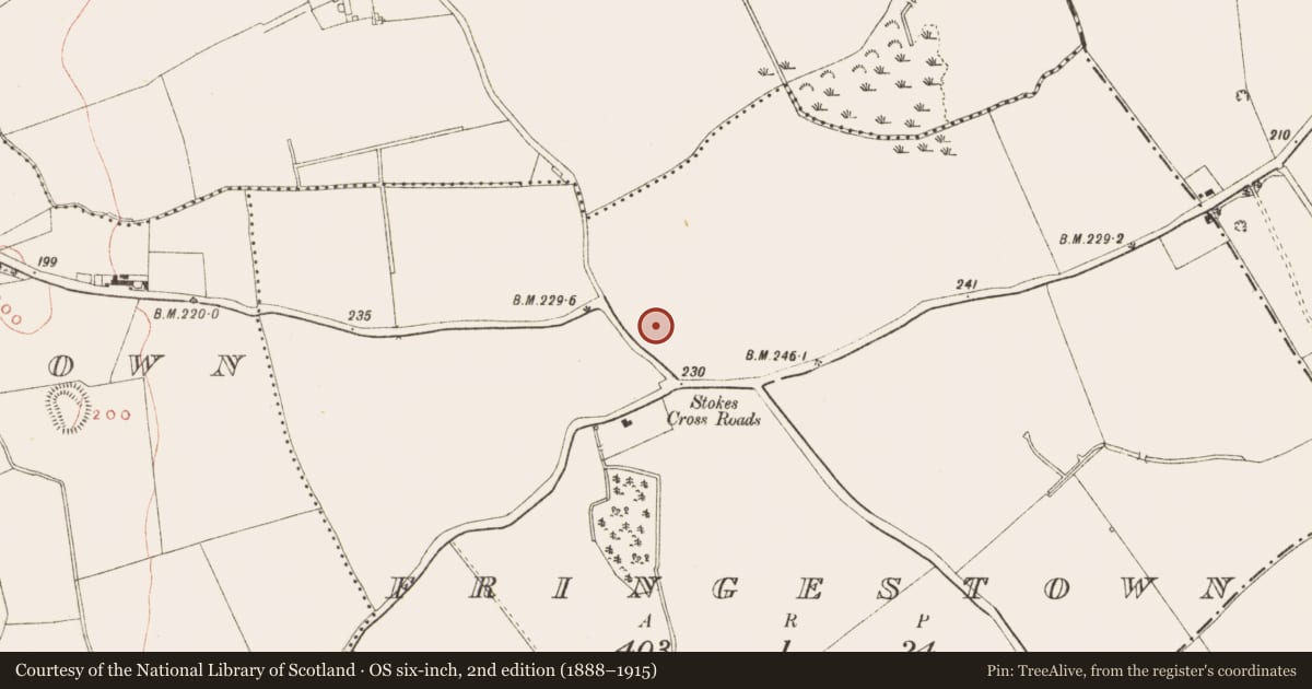 Ordnance Survey six-inch map, 2nd edition (1888–1915) covering the location of Ringfort - rath, Fringestown, County Meath, with a pin at the register's coordinates