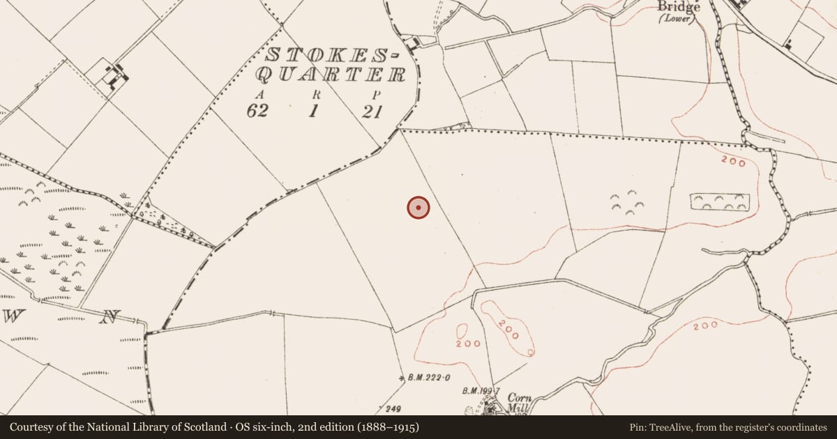 Ordnance Survey six-inch map, 2nd edition (1888–1915) covering the location of Ring-ditch, Ricetown (Slane Lwr by, County Meath, with a pin at the register's coordinates