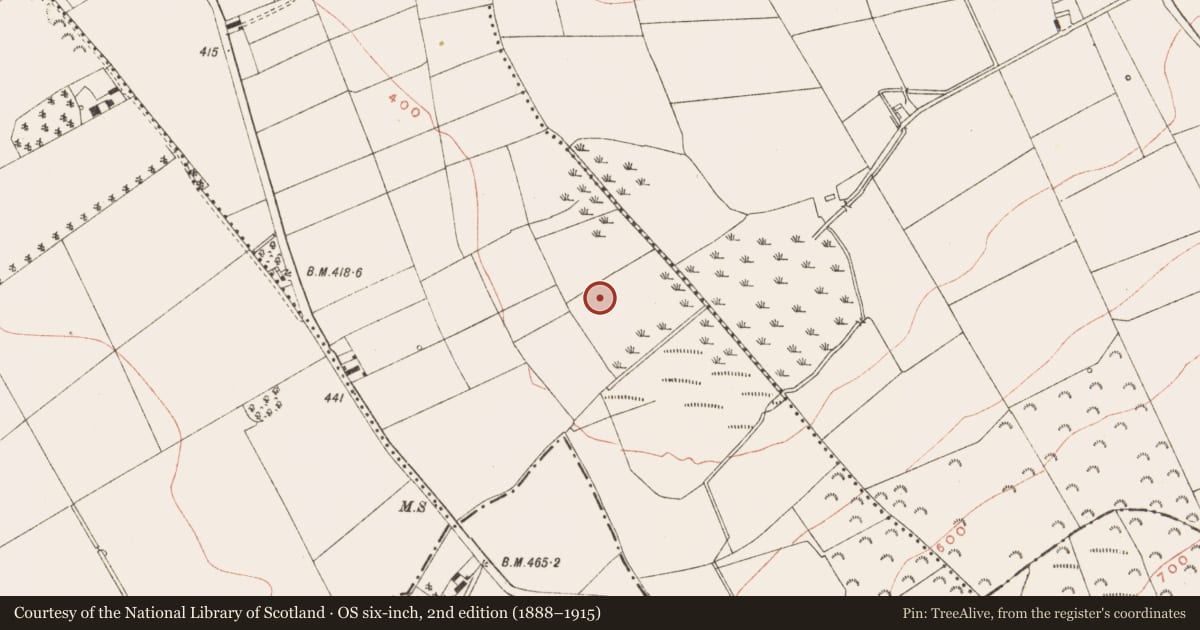 Ordnance Survey six-inch map, 2nd edition (1888–1915) covering the location of Enclosure - large enclosure, Heronstown, County Meath, with a pin at the register's coordinates