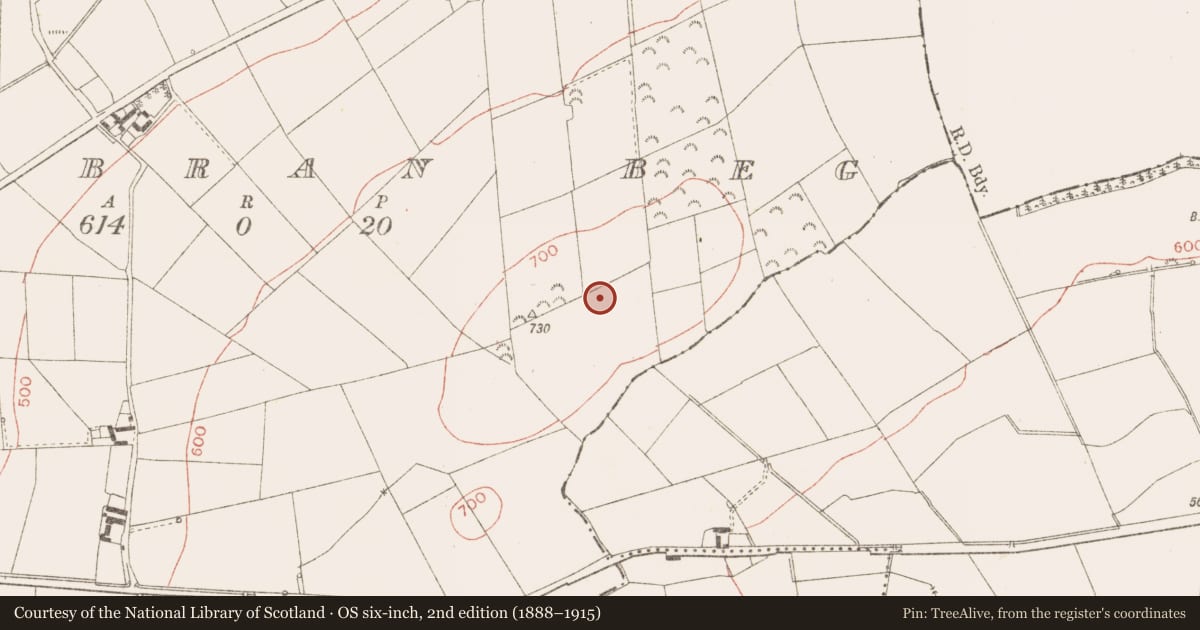 Ordnance Survey six-inch map, 2nd edition (1888–1915) covering the location of Mound, Rathbran Beg, County Meath, with a pin at the register's coordinates