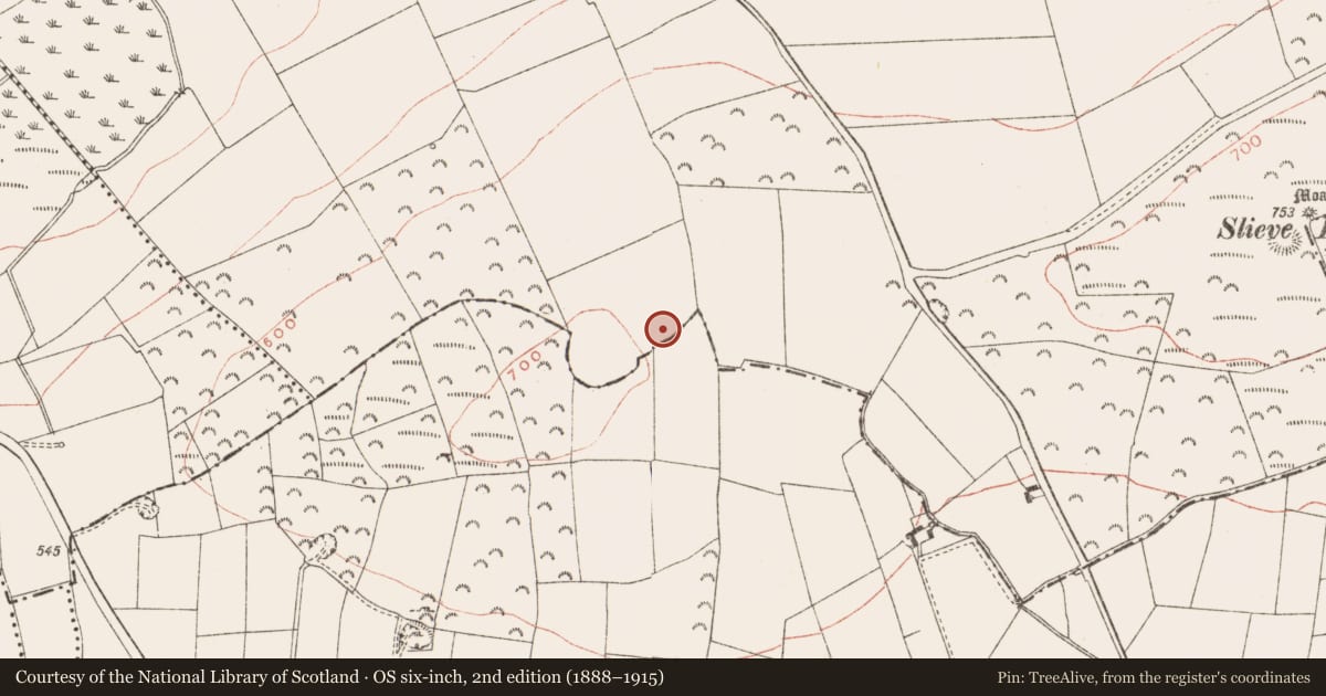 Ordnance Survey six-inch map, 2nd edition (1888–1915) covering the location of Barrow - ditch barrow, Rathbranchurch, County Meath, with a pin at the register's coordinates