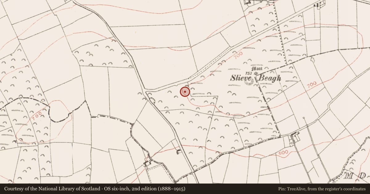Ordnance Survey six-inch map, 2nd edition (1888–1915) covering the location of Barrow - ring-barrow, Rathbranchurch, County Meath, with a pin at the register's coordinates