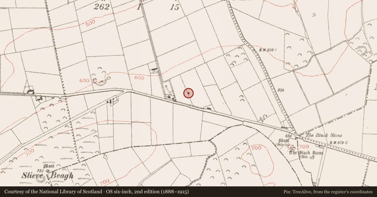 Ordnance Survey six-inch map, 2nd edition (1888–1915) covering the location of Enclosure, Hoardstown, County Meath, with a pin at the register's coordinates
