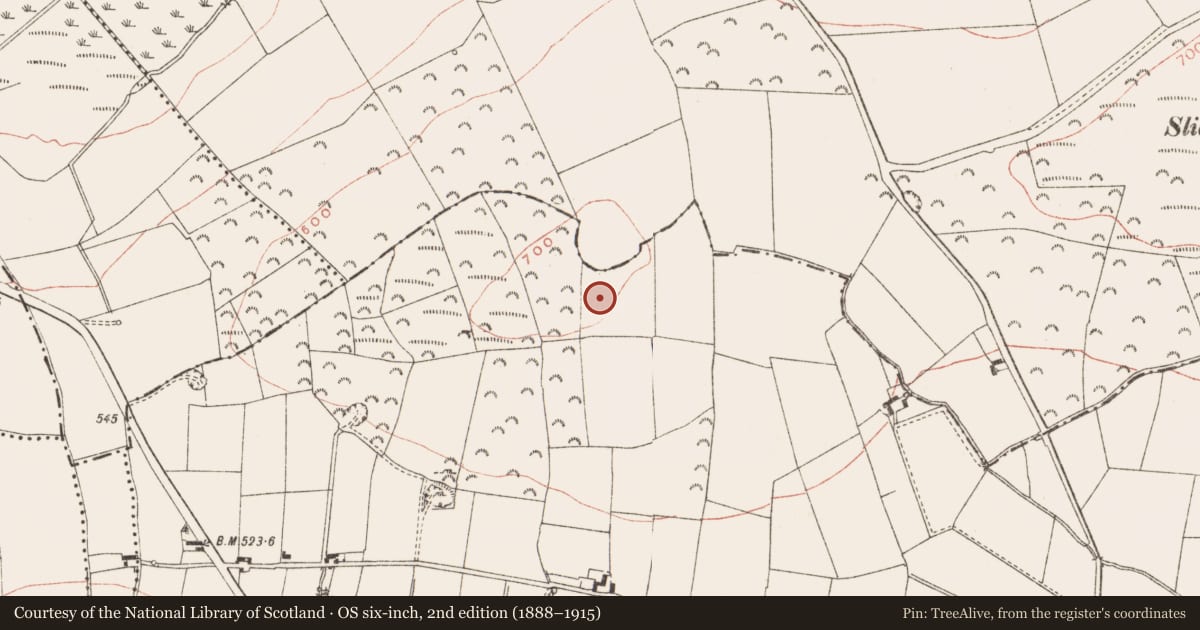 Ordnance Survey six-inch map, 2nd edition (1888–1915) covering the location of Structure, Grangegeeth, County Meath, with a pin at the register's coordinates